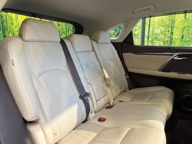 Lexus RX 2018-02 9432-10