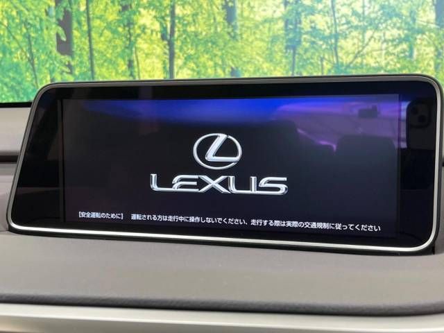 Lexus RX 2018-02 9432-2
