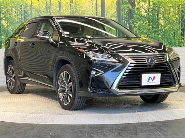 Lexus RX 2018-02 9432-17