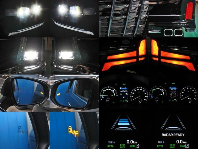 Toyota ALPHARD HYBRID 2019-04 1922-2
