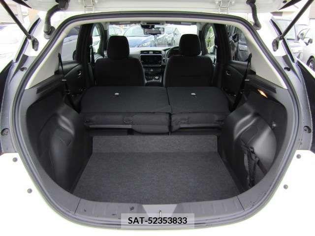 Nissan LEAF 2020-12 324811-19