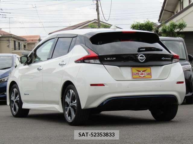 Nissan LEAF 2020-12 324811-8