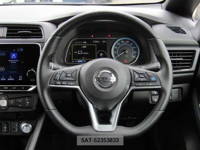Nissan LEAF 2020-12 324811-15