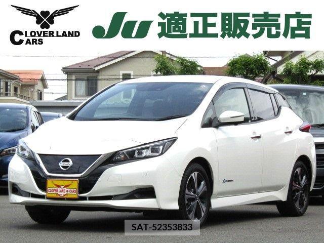 Nissan LEAF 2020-12 324811-0