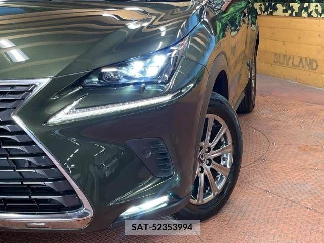 Lexus NX 2021-04 275667-13