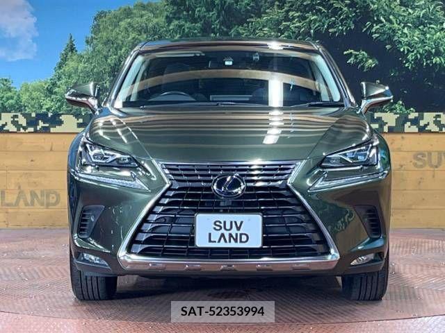 Lexus NX 2021-04 275667-14