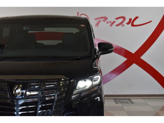 Toyota ALPHARD 2016-09 17952-1