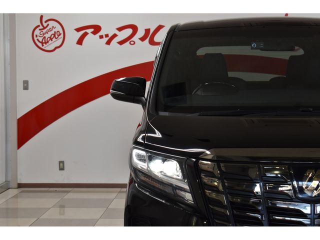 Toyota ALPHARD 2016-09 17952-2