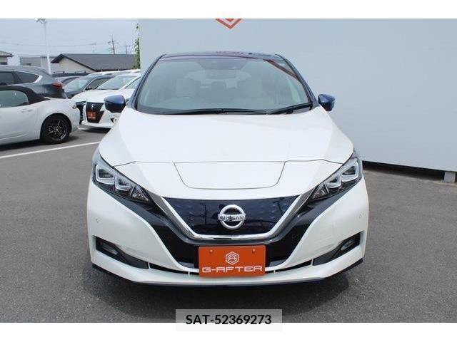 Nissan LEAF 2020-02 331233-3