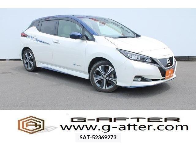 Nissan LEAF 2020-02 331233-0