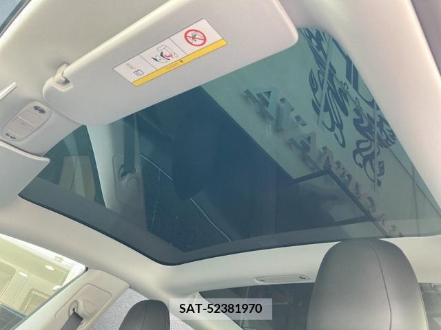 Tesla MODEL 3 2020-01 371773-14