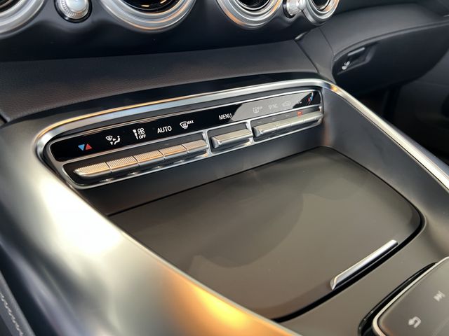 Amg GT 2020-07 22828-10