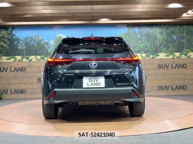 Lexus UX 2021-07 353981-15