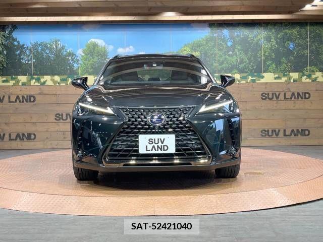 Lexus UX 2021-07 353981-14