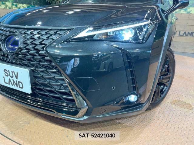 Lexus UX 2021-07 353981-11
