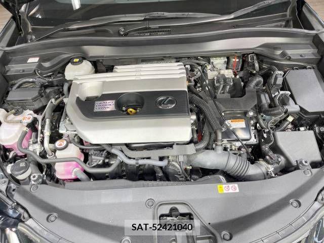 Lexus UX 2021-07 353981-18
