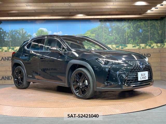 Lexus UX 2021-07 353981-16