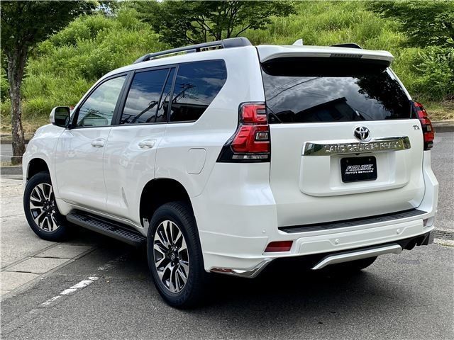 Toyota PRADO 2022-10 10101-1