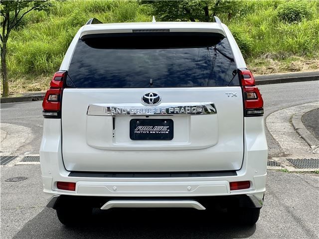 Toyota PRADO 2022-10 10101-3