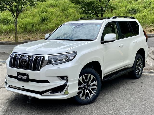 Toyota PRADO 2022-10 10101-4