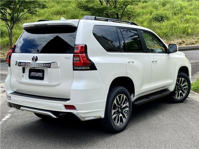 Toyota PRADO 2022-10 10101-5