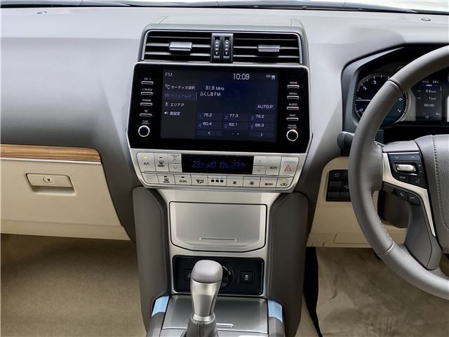 Toyota PRADO 2022-10 10101-9