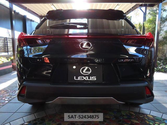 Lexus UX 2023-05 219309-4
