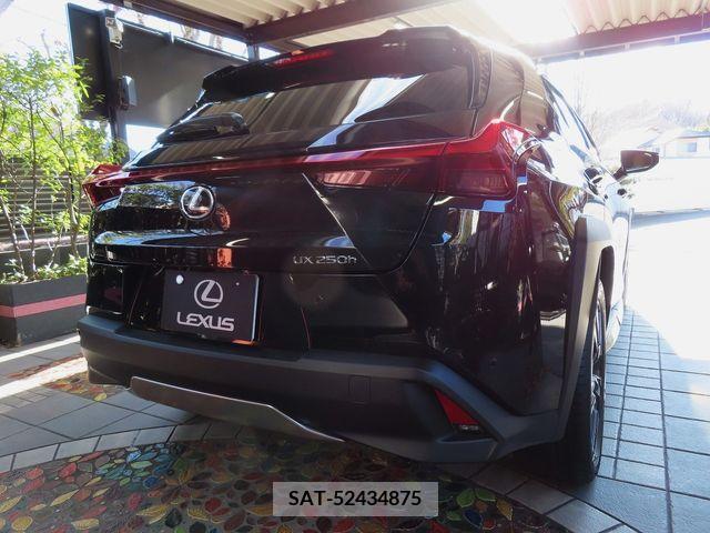 Lexus UX 2023-05 219309-6