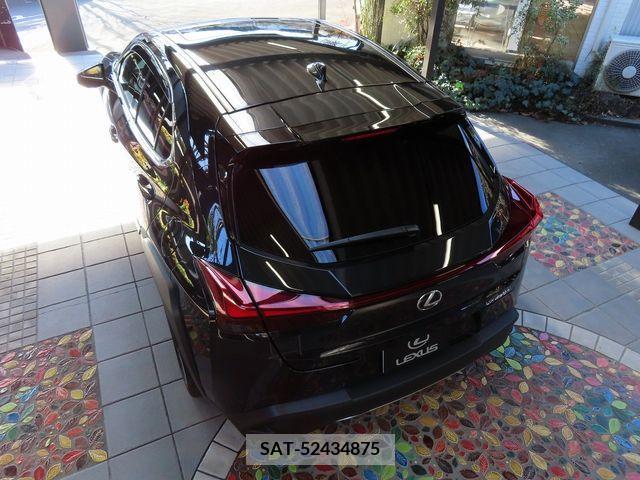 Lexus UX 2023-05 219309-12
