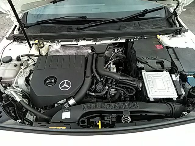 Mercedes Benz A-CLASS 2019-05 20425-18