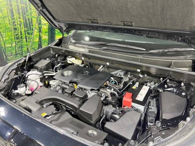 Toyota RAV4 2023-05 190492-18
