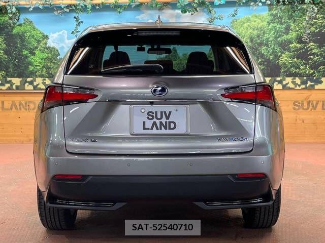 Lexus NX 2015-05 388148-16