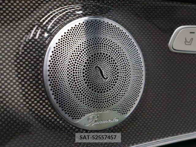 Amg E-CLASS 2019-12 259989-10