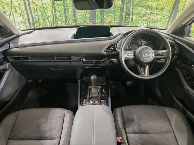 Mazda CX-30 2020-03 25824-1