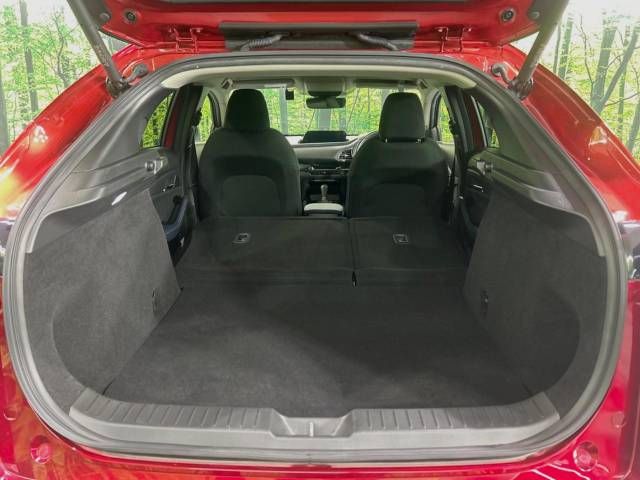 Mazda CX-30 2020-03 25824-10