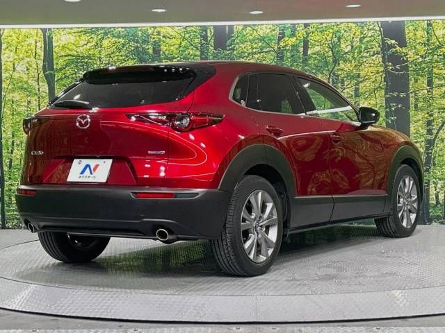 Mazda CX-30 2020-03 25824-17