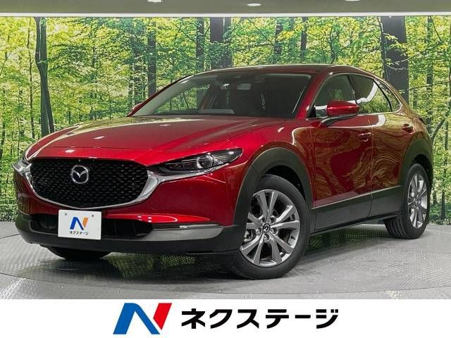 Mazda CX-30 2020-03 25824-0