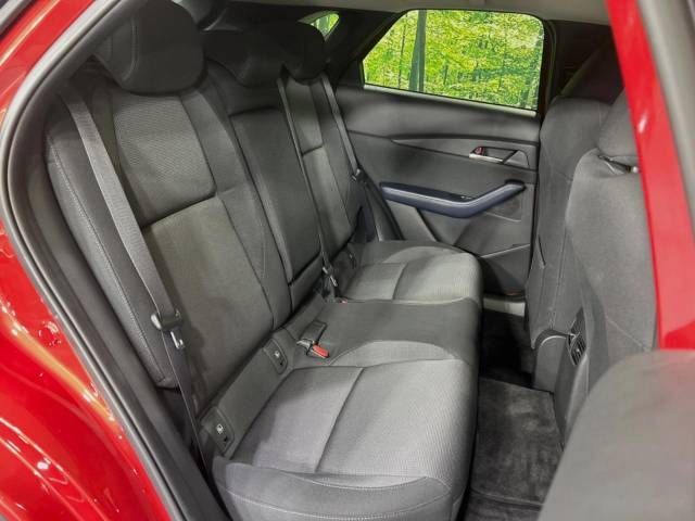 Mazda CX-30 2020-03 25824-9