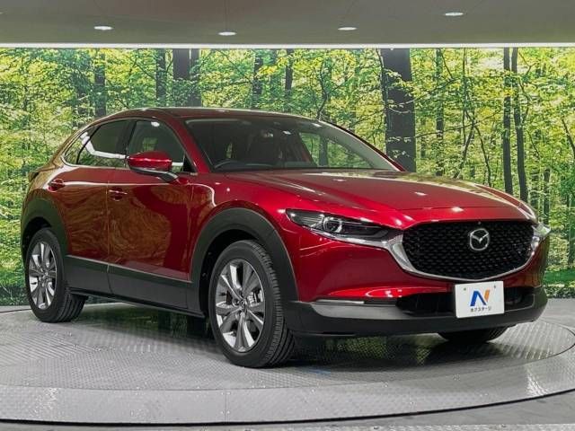 Mazda CX-30 2020-03 25824-16