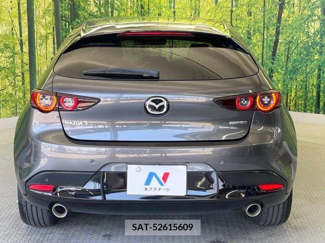 Mazda MAZDA3 2019-12 301064-15