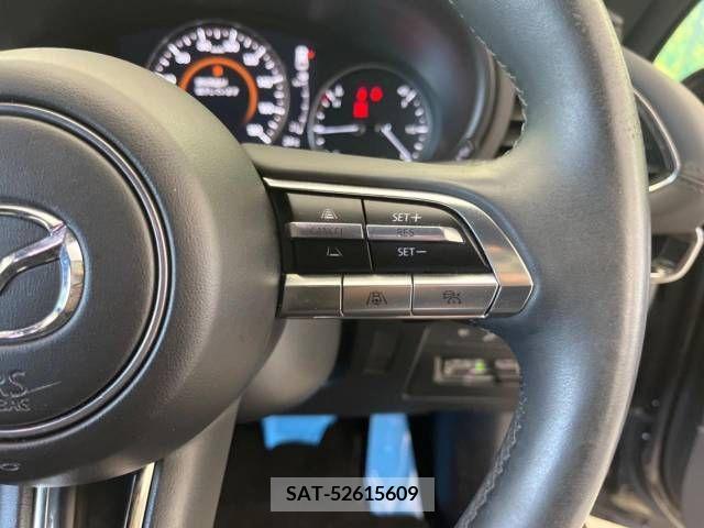 Mazda MAZDA3 2019-12 301064-7