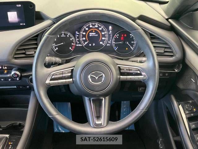 Mazda MAZDA3 2019-12 301064-11