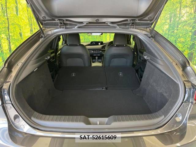 Mazda MAZDA3 2019-12 301064-10