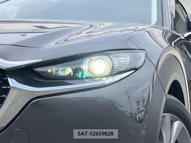 Mazda CX-30 2019-10 265623-13