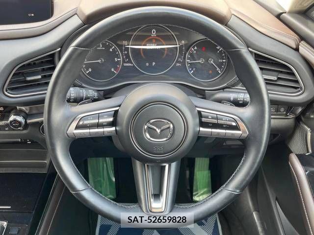 Mazda CX-30 2019-10 265623-12