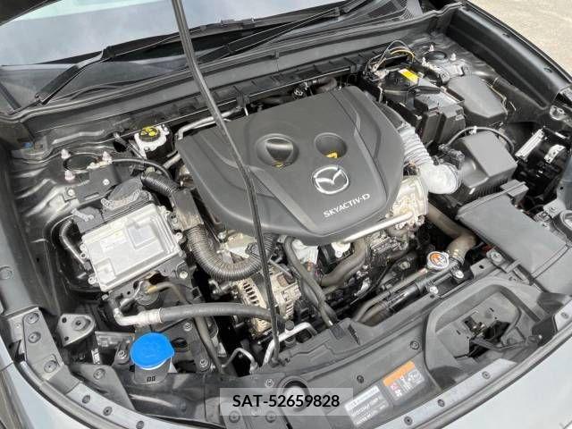 Mazda CX-30 2019-10 265623-18
