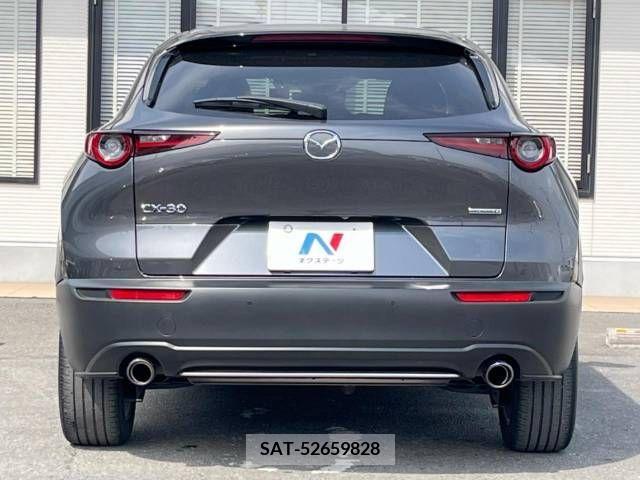 Mazda CX-30 2019-10 265623-16