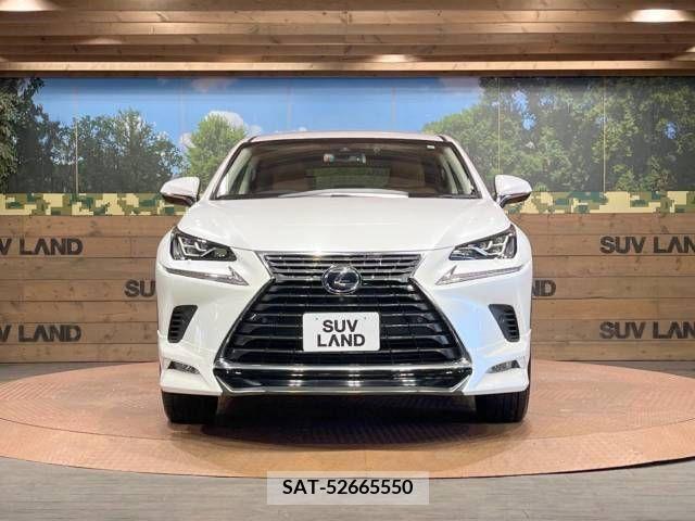 Lexus NX 2018-10 388248-14