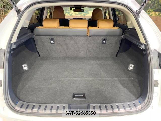 Lexus NX 2018-10 388248-13
