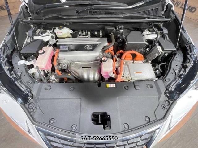 Lexus NX 2018-10 388248-18
